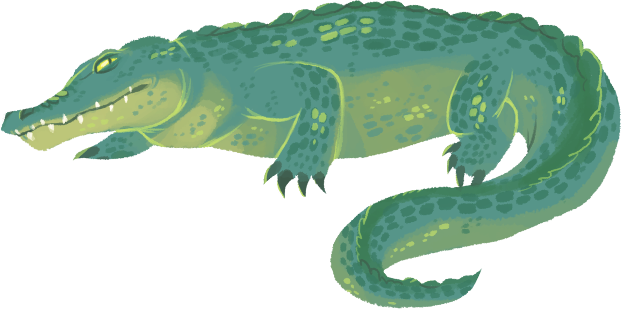 Crocodile Illustration - Crocodile Art (1280x638), Png Download