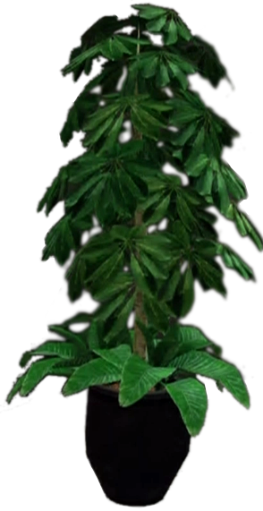Tall Bushy Plant - Potted Plant (294x571), Png Download