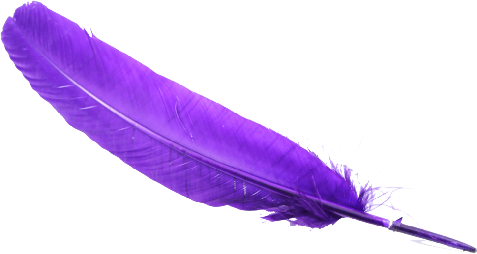 Feather Png - Clipart Purple Pen Transparent (1024x1024), Png Download
