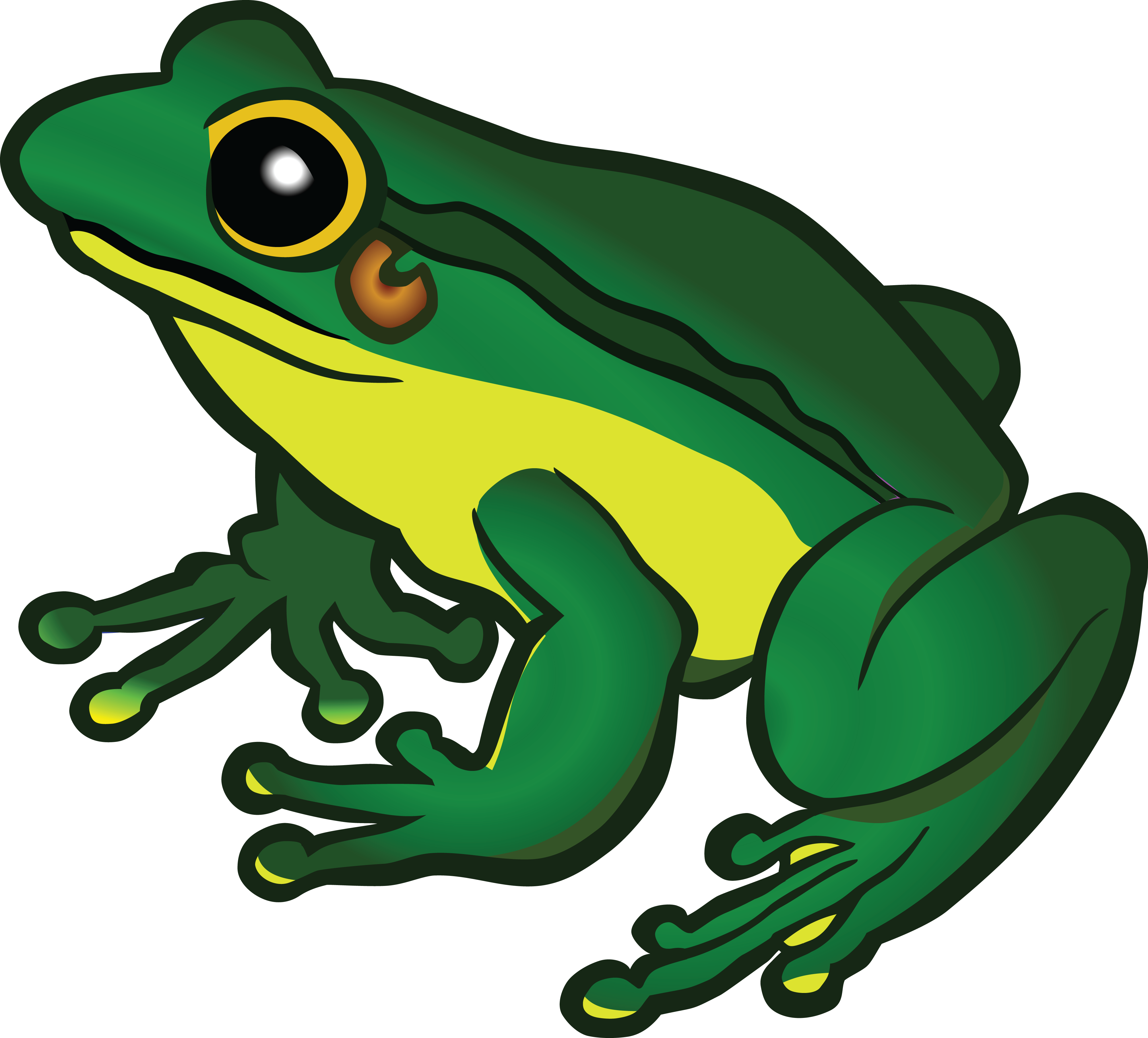 Frog Png Image Background - Frog Clipart (4000x3618), Png Download
