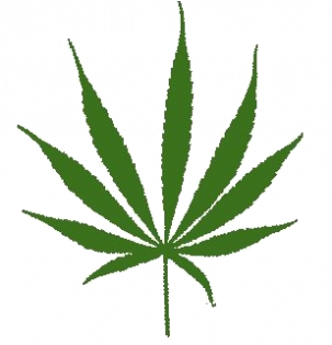 Transparent Sativa Leaf (600x315), Png Download