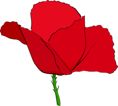 Common Poppy Remembrance Poppy Flower Red - Red Image Of Poppy Flower (378x340), Png Download