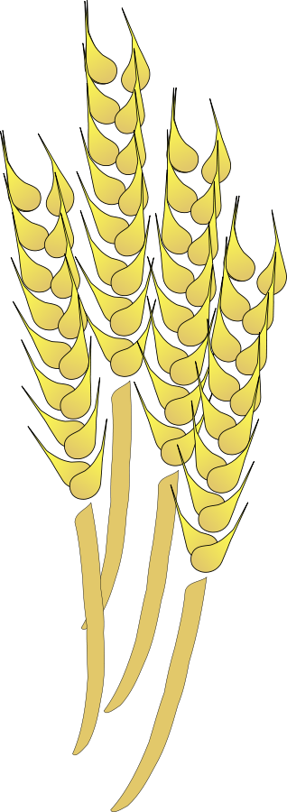 How To Set Use Wheat Clipart (318x900), Png Download
