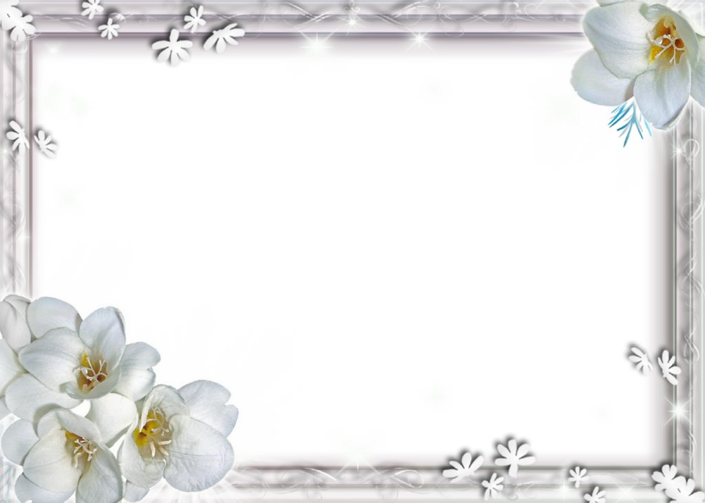 White Flower Frame Png File - White Flower Frame Png (1024x731), Png Download