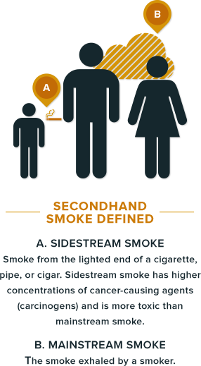 Protecting - “ - Second Hand Smoke Is Toxic (286x519), Png Download