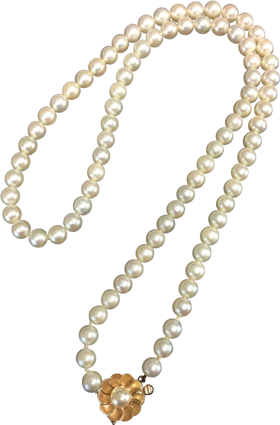 Pearl K Gold White Freshwater Cultured - Pearls Necklace Png (1369x1369), Png Download