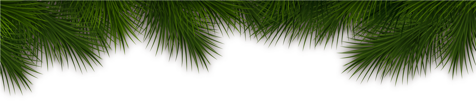 Color Peachie The Moose - Roystonea (2000x1000), Png Download