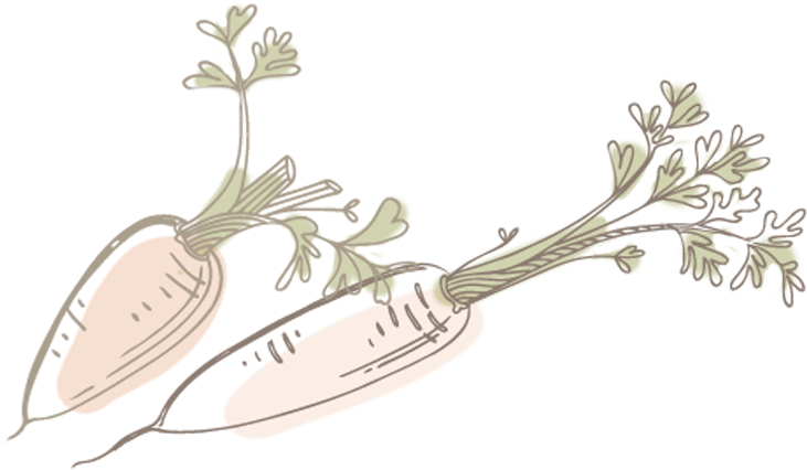 Food - Illustration (750x427), Png Download