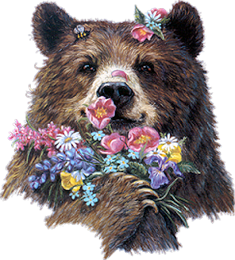 Brown Bears - Grizzly Bear Bear And Flowers Drawing (464x513), Png Download