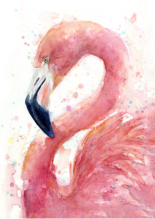 Bleed Area May Not Be Visible - Flamingo Watercolor (494x700), Png Download