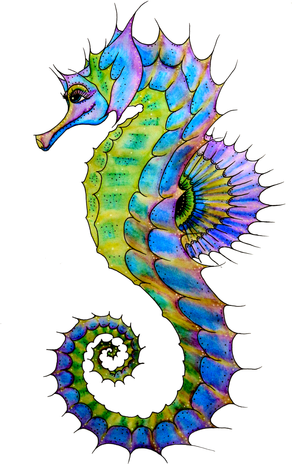 Seahorse Png Hd - Seahorse Png (1024x1711), Png Download