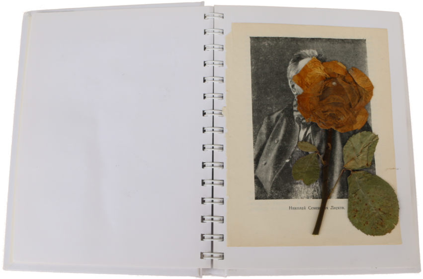 3 (1000x562), Png Download