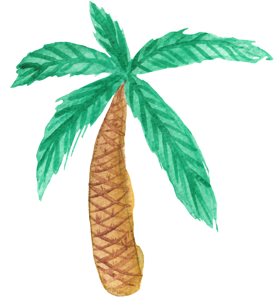 This Graphics Is Cartoon Hawaii Coconut Tree About - Topo De Bolo Flamingo (1024x1170), Png Download
