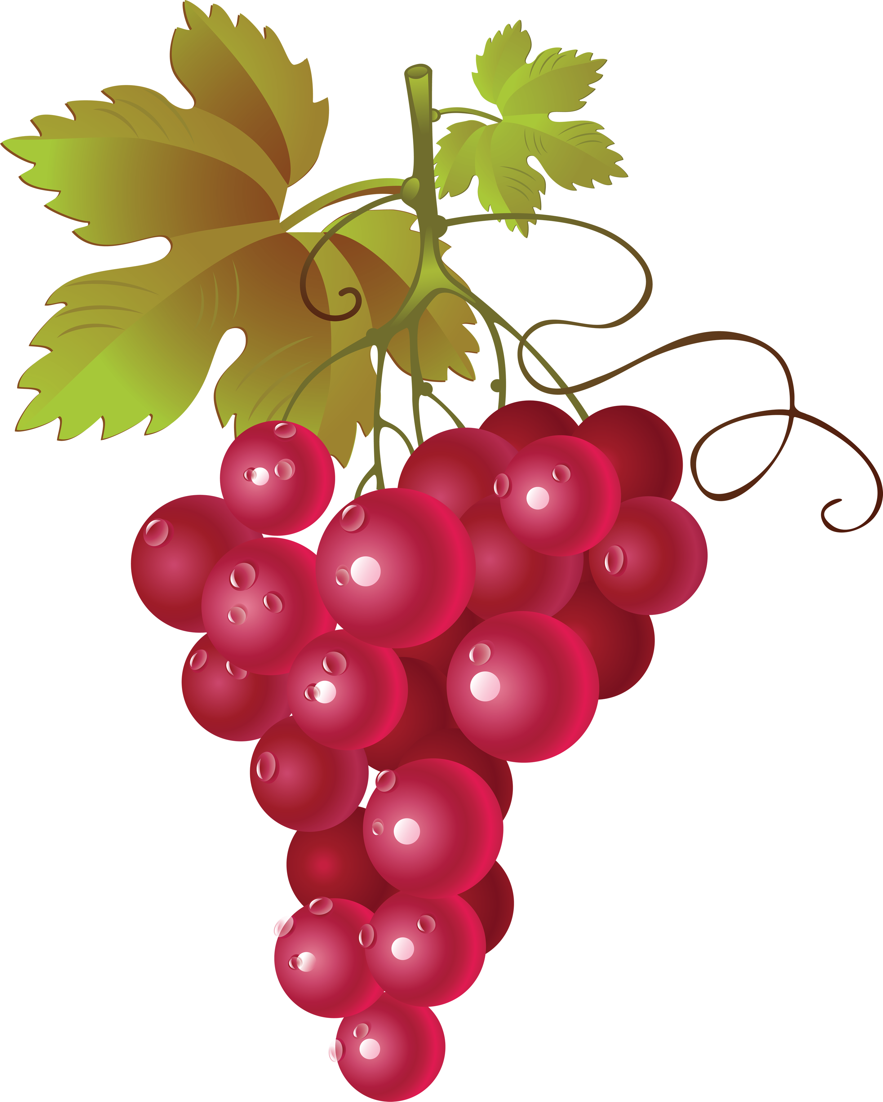 Grape Thirty - Red Grape Vector Png (400x500), Png Download