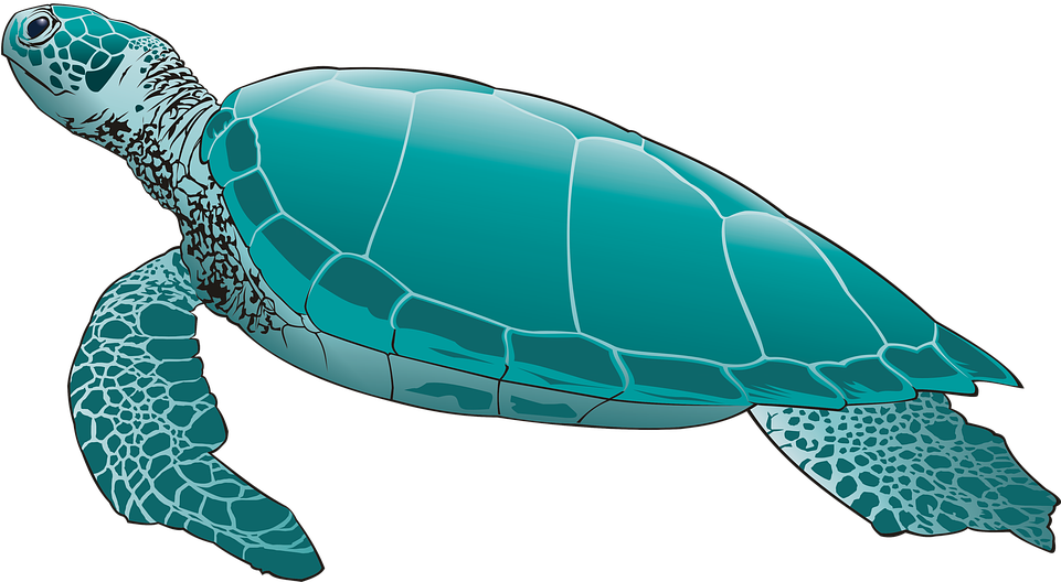 Turtle Png Pic - Sea Turtle Silhouette Painting (960x541), Png Download