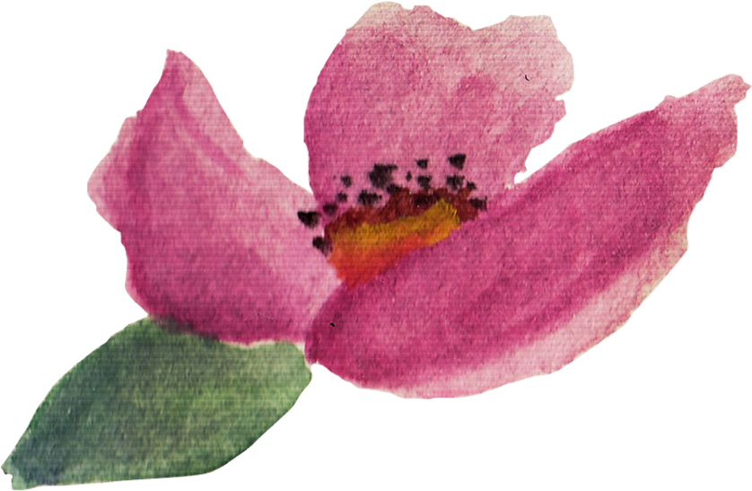 Baurbon And Graphics Pack Example Image - Trillium (1000x1000), Png Download