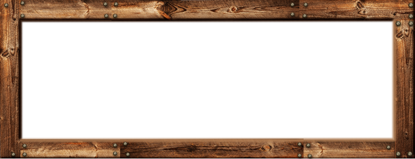 Sauce Iguana Sauce Bee Sting Sauce Wooden Frame - Plywood (812x312), Png Download