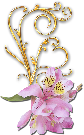 Tubes Fleurs - Stickers Tube Clusters Cliparts Transparent Background (350x560), Png Download