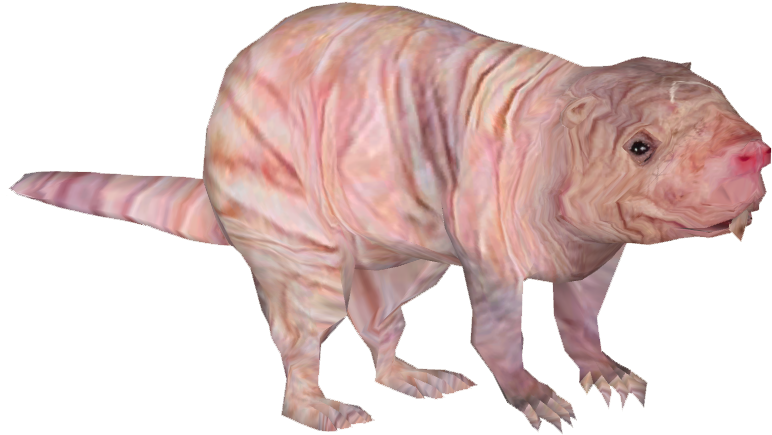 Naked Mole Rat - Filhote De Rato Png (771x771), Png Download