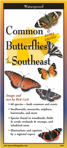 Common Butterflies Of The Southeast Folding Guide (500x500), Png Download