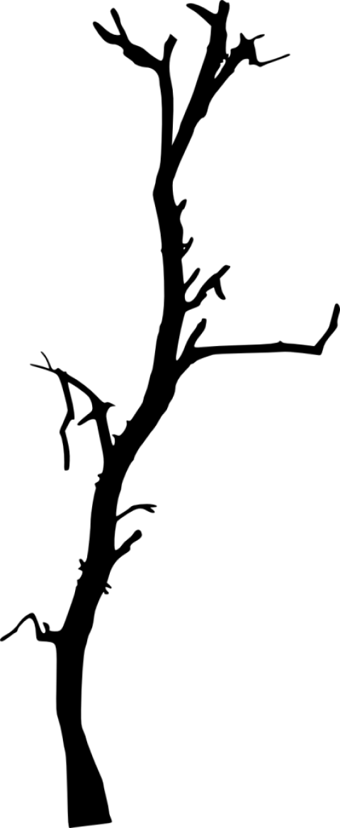 Free Png Dead Tree Silhouette Png Images Transparent - Dead Tree Silhouette (480x1168), Png Download