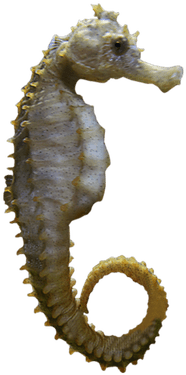 Portable Network Graphics (400x400), Png Download