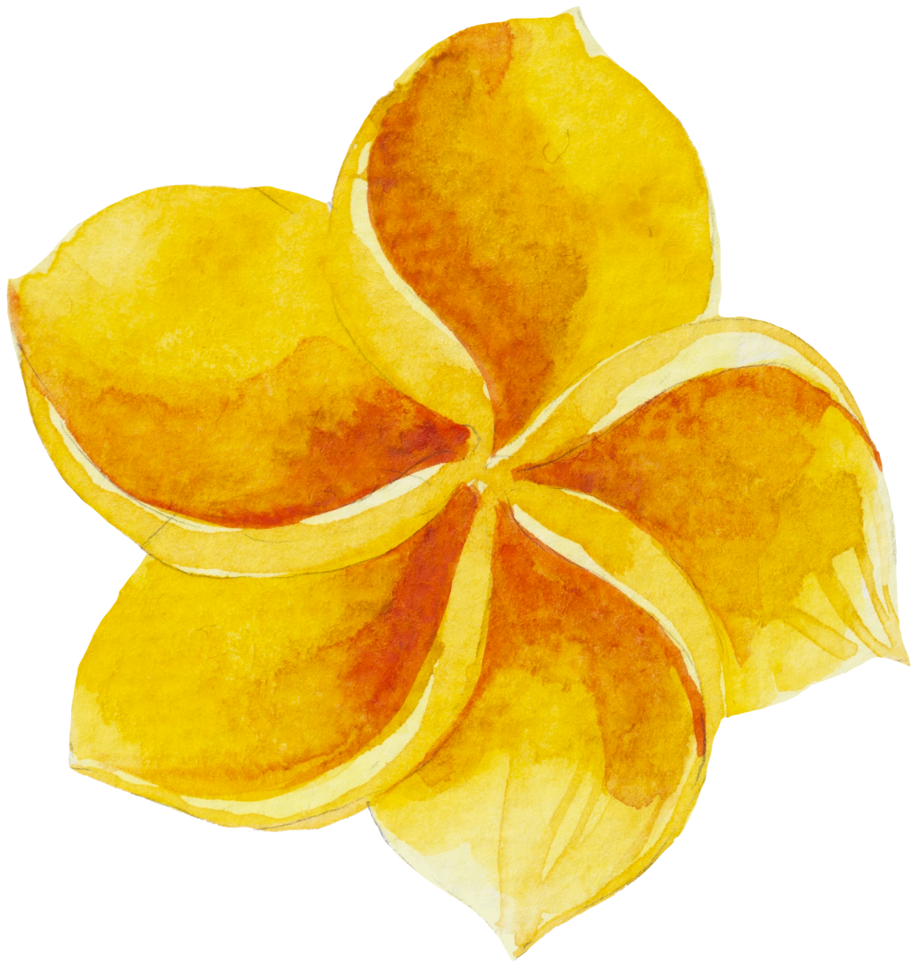 Watercolour Watercolor Sticker Ftestickers Flowers (1024x1082), Png Download