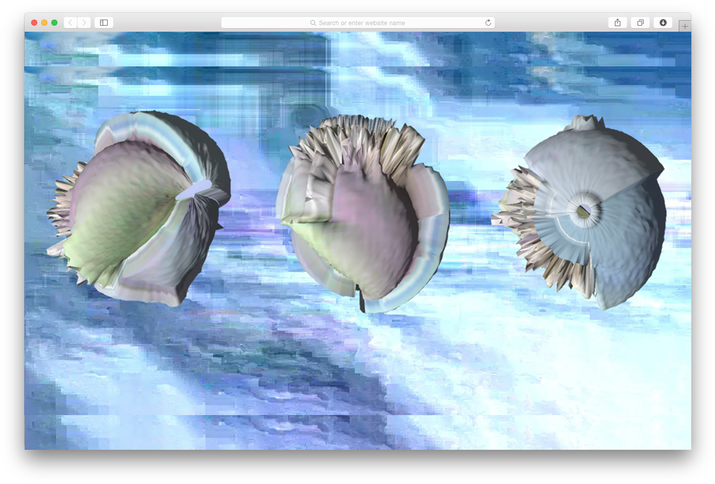 Sofia - Sophiebrags@gmail - Com - - Shell (1436x976), Png Download