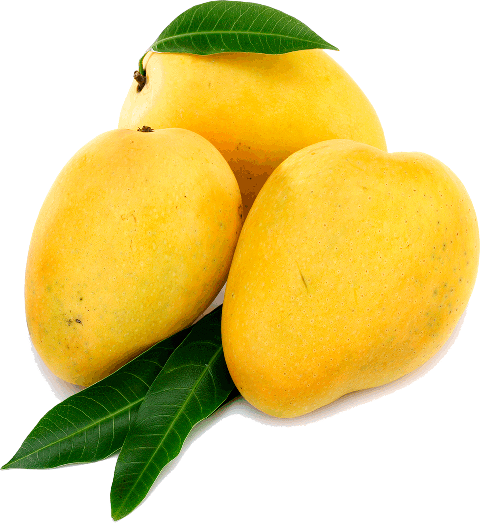 Yellow Mango Png (1000x1250), Png Download