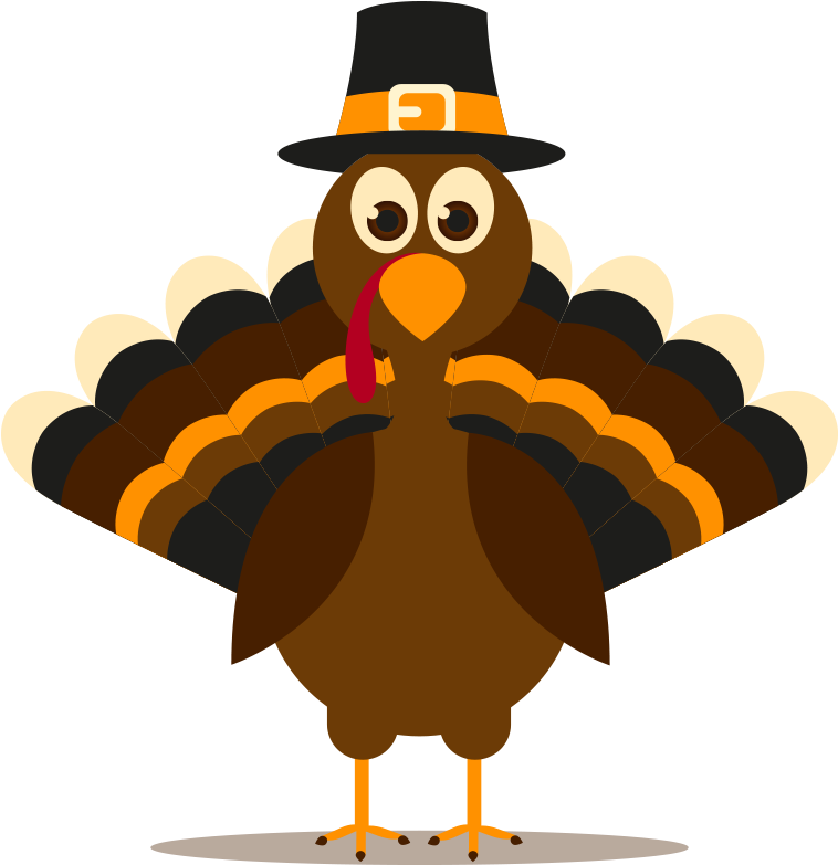 Turkey Cartoon Png Banner Library - Cartoon Turkey (800x800), Png Download