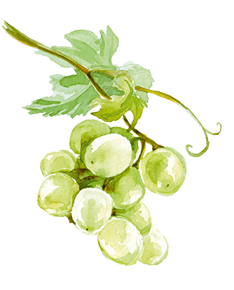 Fruit Fruit - Seedless Fruit (470x470), Png Download