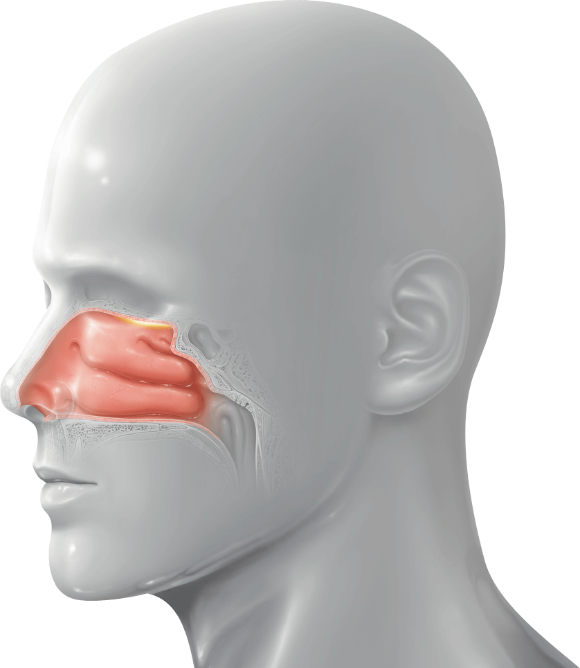 Snbl's Nasal Drug Delivery Platform Is A Proprietary - Mask (838x965), Png Download