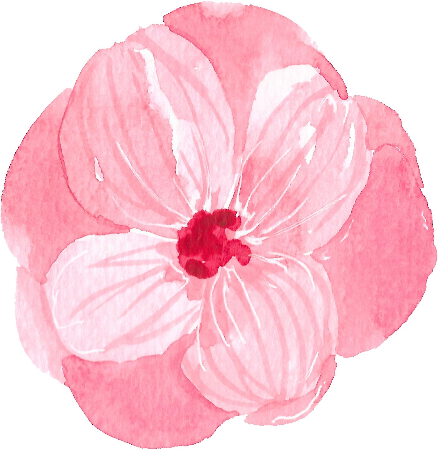 Thank You For Contacting Us - Flowering Dogwood (1461x1509), Png Download