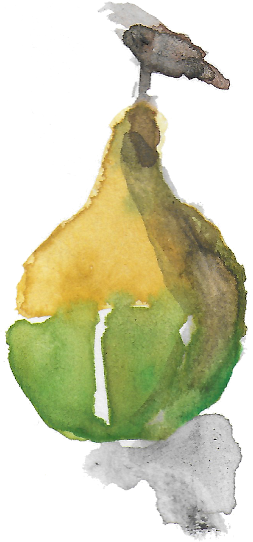 Courge6 - Pear (500x1070), Png Download