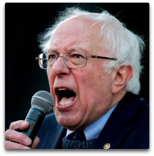 I See That We Now Have Socialists Coming Out Of The - Bernie Sanders (564x587), Png Download