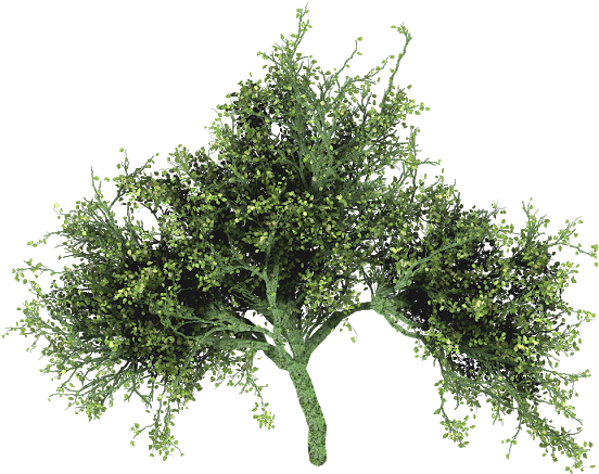 Source - - Art (800x457), Png Download