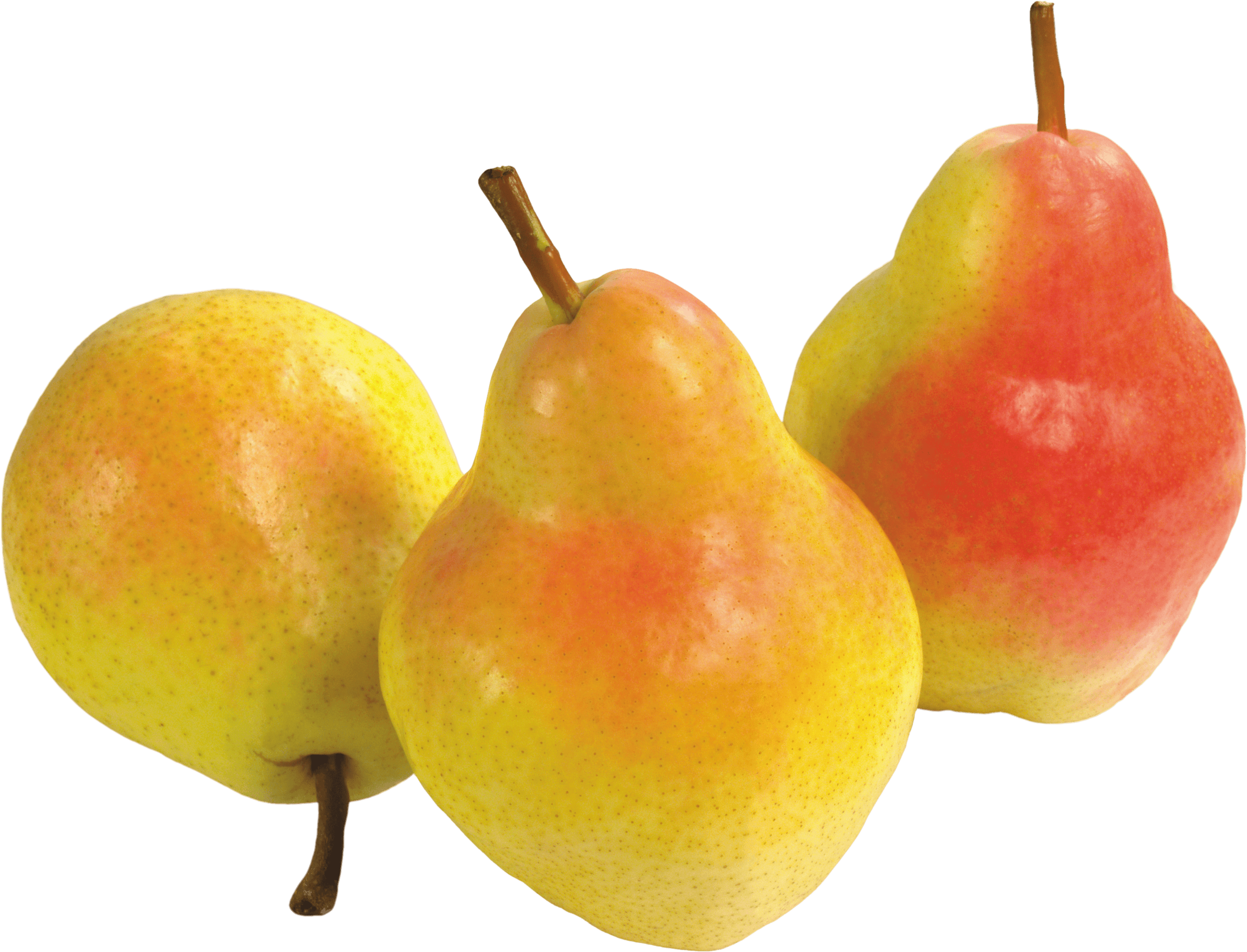 Fruits - Pear Transparent (3000x2291), Png Download