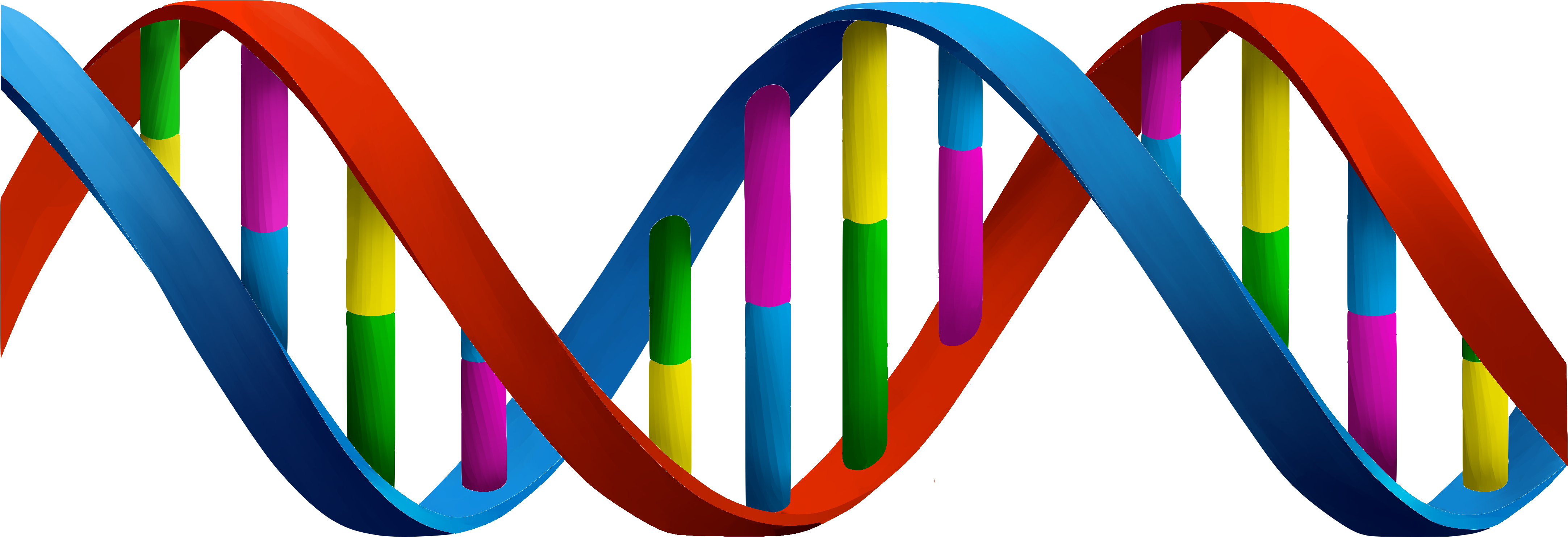 Image Result For Dna Images (5000x2000), Png Download