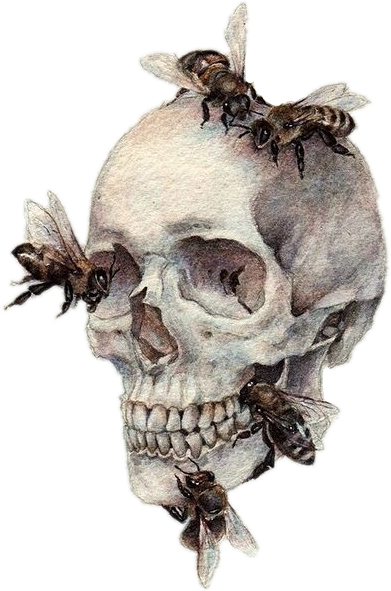 Report Abuse - Natural Forms Art Gcse (391x591), Png Download
