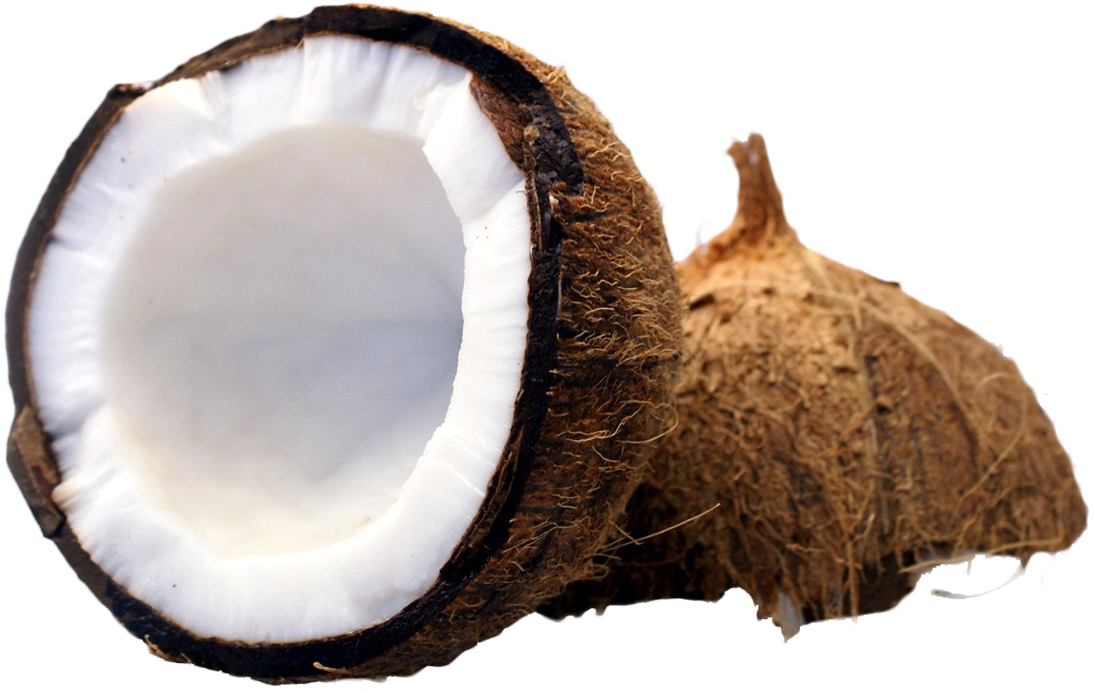 Coconut - Coconut Png (1256x814), Png Download
