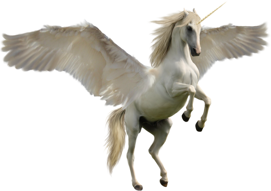 Unicorn Png (1000x700), Png Download