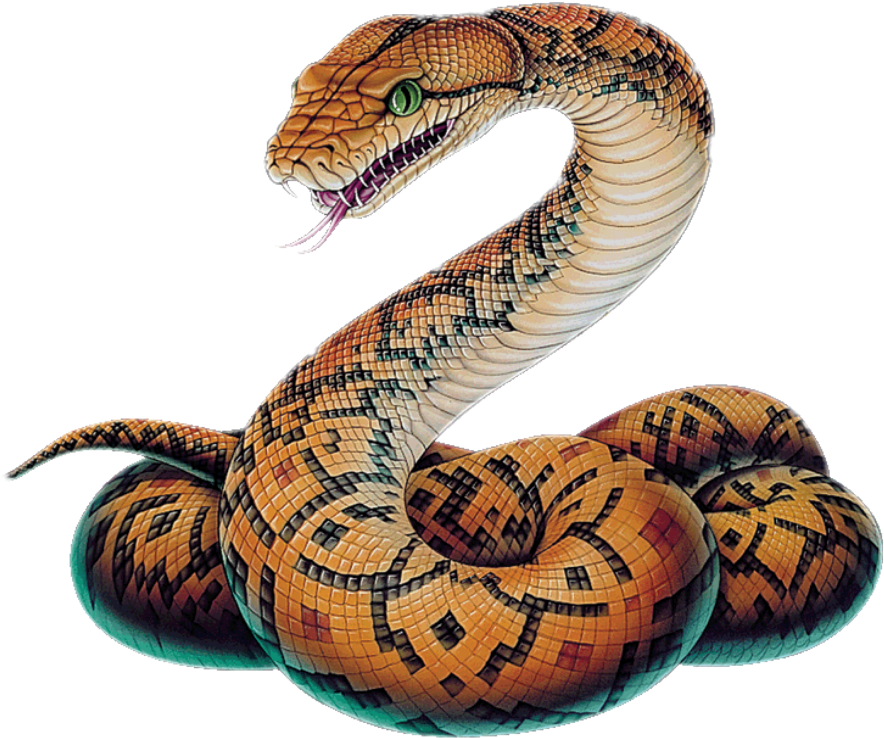 Snake Clipart Boa Constrictor (1024x1024), Png Download