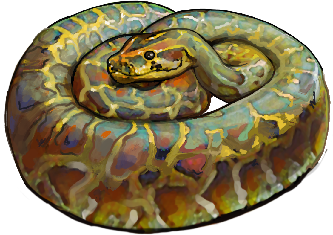 3 Python - Burmese Language (1149x1067), Png Download