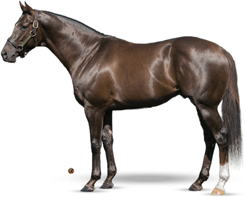 Daredevil - Teofilo Horse (500x400), Png Download