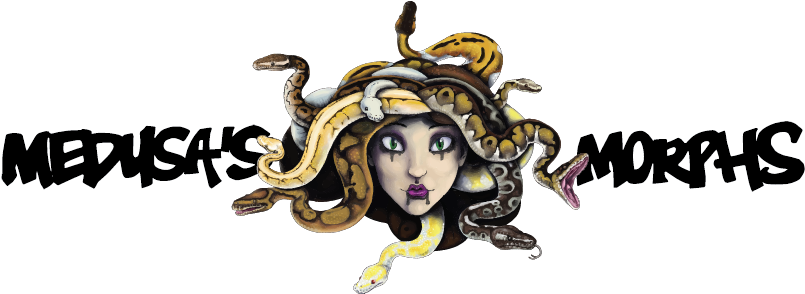 Medusa's Morphs - Portable Network Graphics (815x301), Png Download
