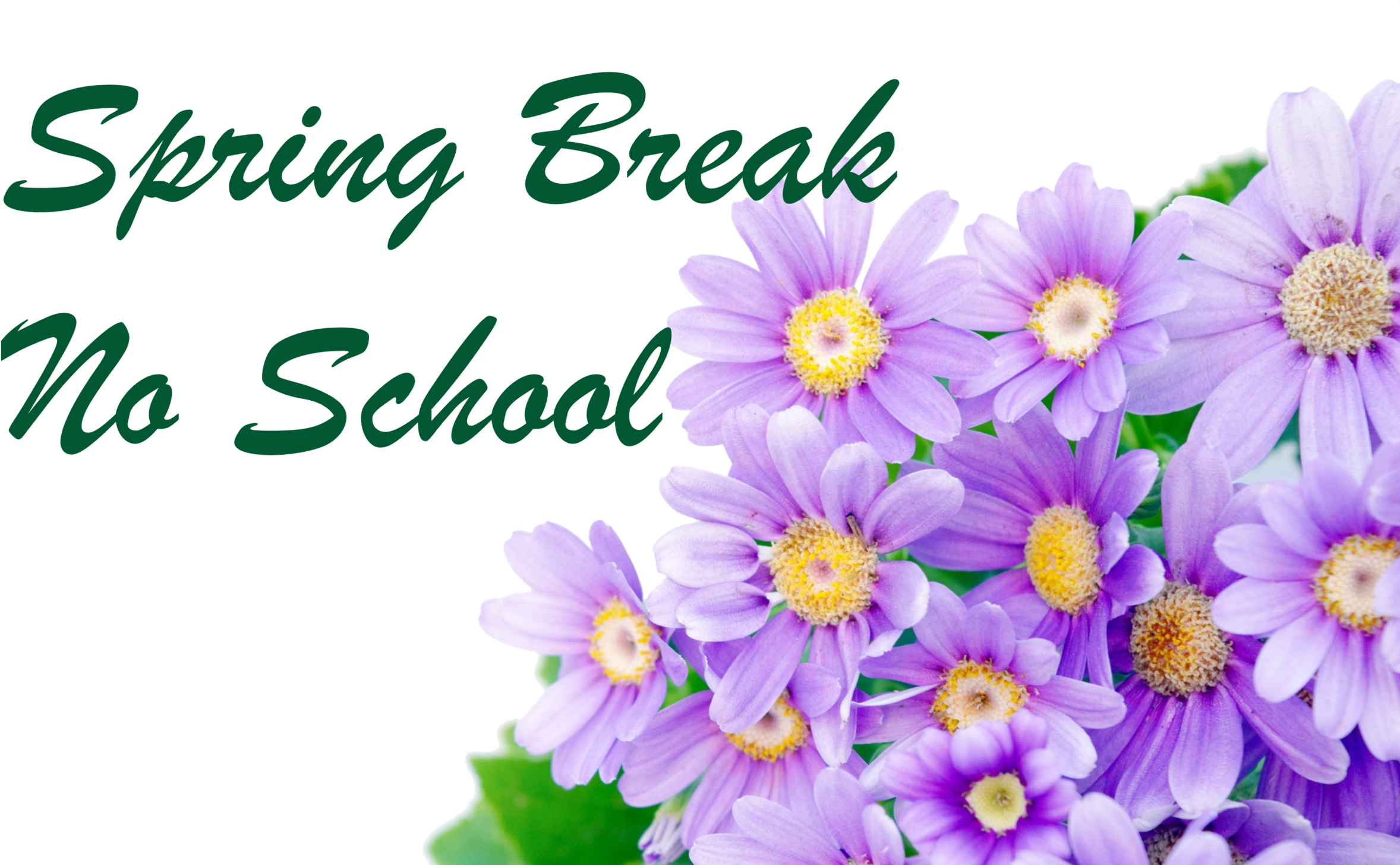 Spring Break (2500x1667), Png Download