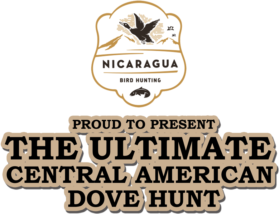 When You Make Nicaragua Your Dove And Duck Hunting - Midpoint Cafe (1000x898), Png Download