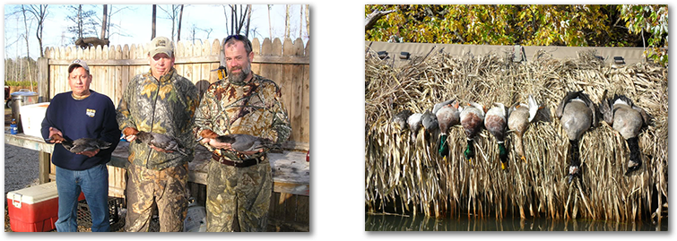 Diver Duck Hunting The Chesapeake Bay - Waterfowl Hunting (1055x353), Png Download