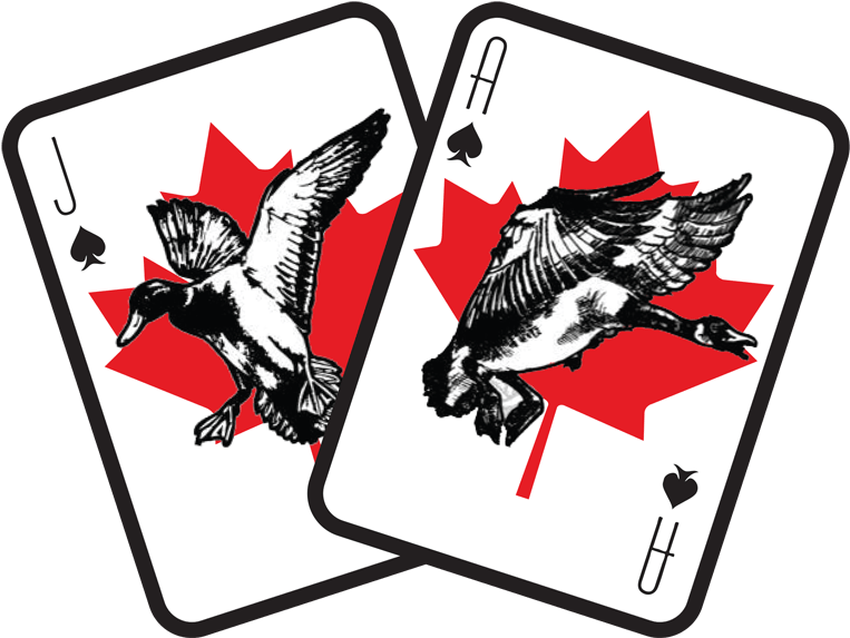 Bjo Logo-min - Facebook (800x608), Png Download