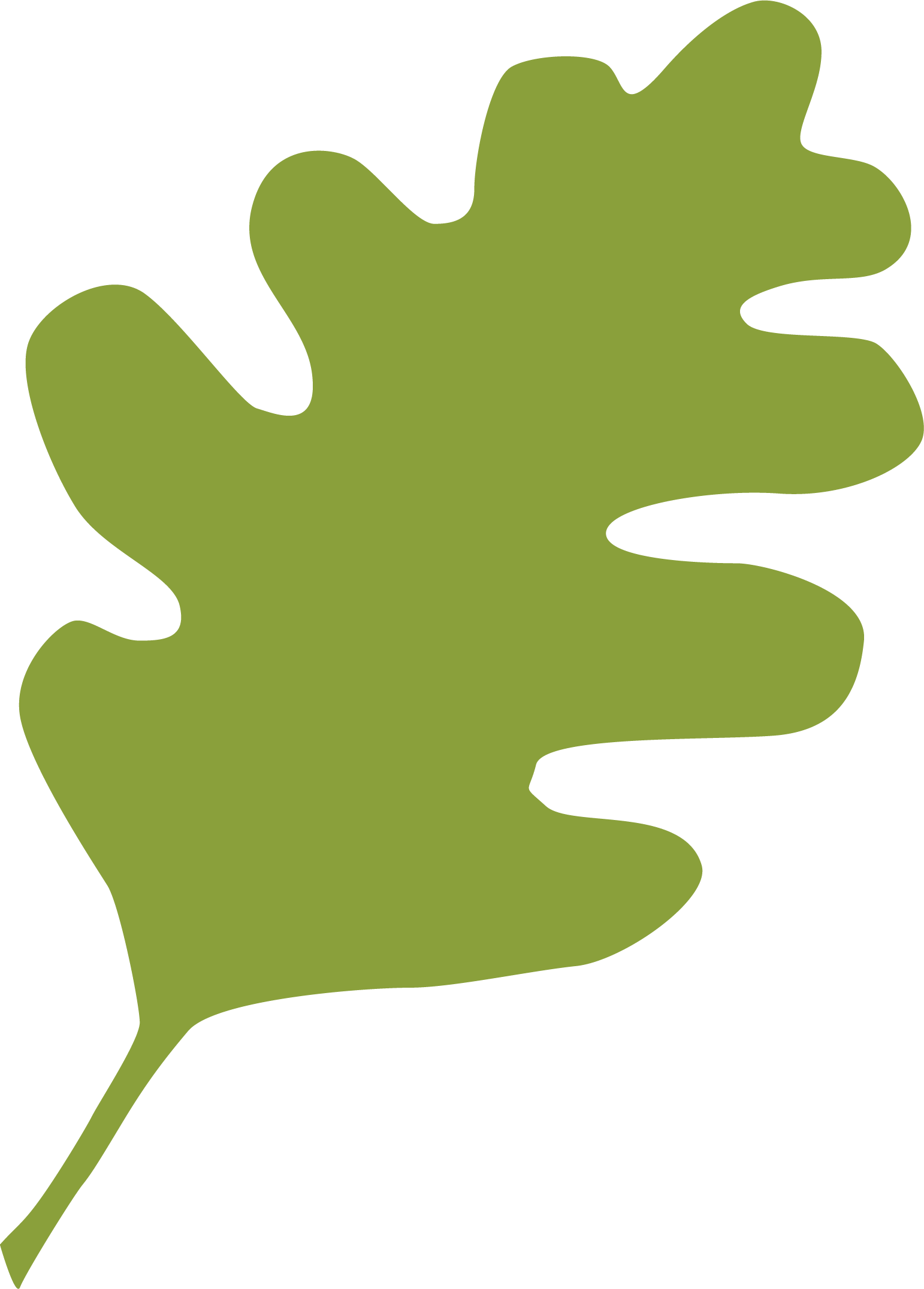 Green Live Oak Leaf - Chicago (1542x2152), Png Download